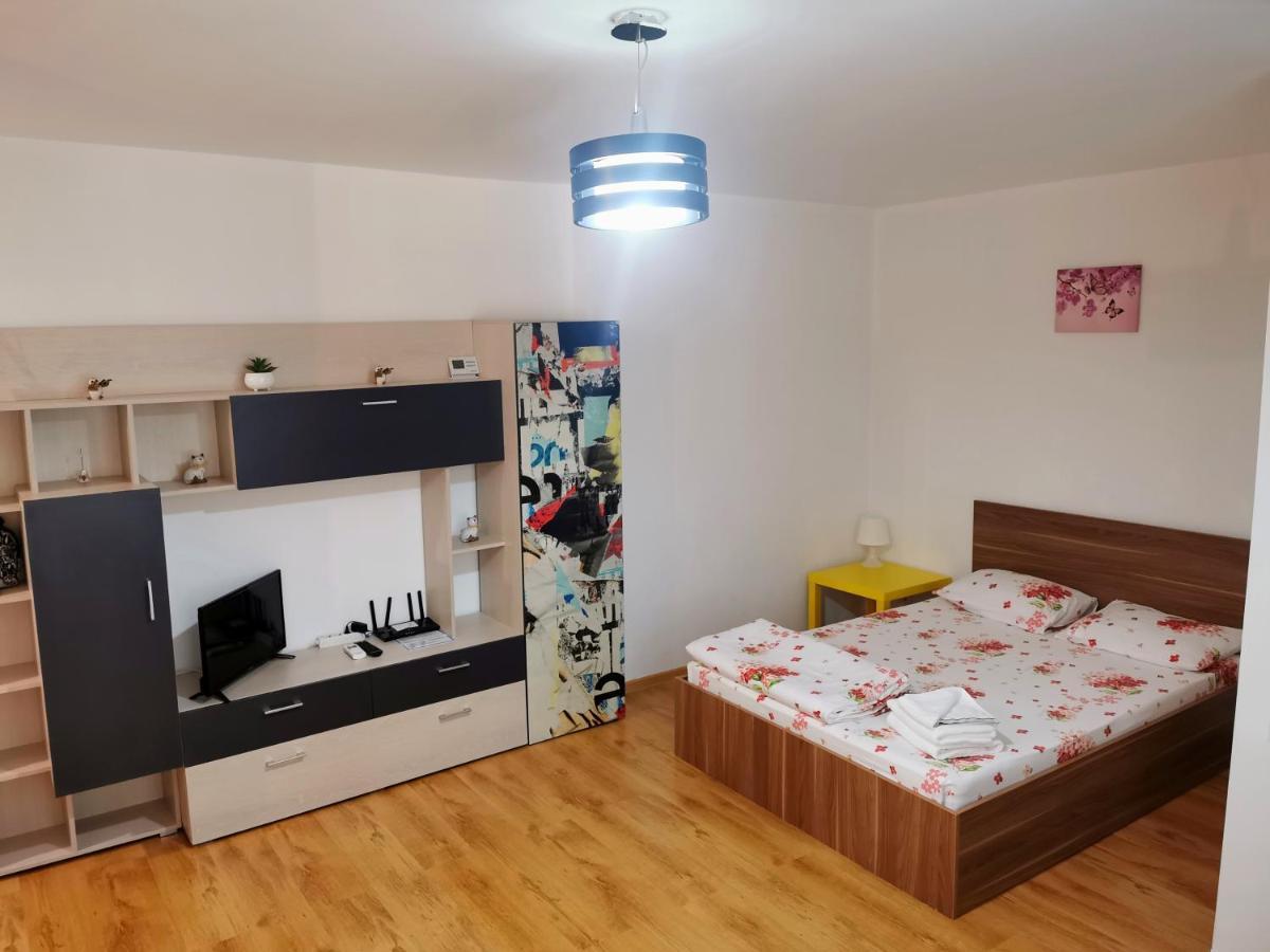 Apartment Gara De Nord Minister *